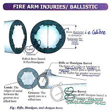 Fire Arm Ballistics Callibre Bore Diameter