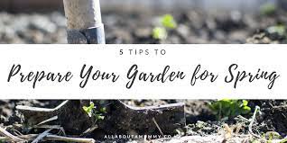 Tips To Prepare Your Garden For Spring