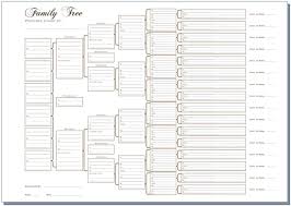 Details About A3 Six Generation Family Tree Chart Pedigree Pack Of 3 Rolled In A Tube