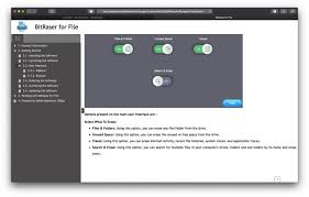 bitraser file eraser for mac review