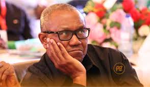 ‘I Wont Die With Them’, Peter Obi Threaten To Quit Party If crises Persist