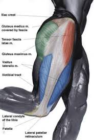 The glutes diagram gluteal muscles glutes anatomy drawings pare thigh muscle diagram sore glute upper hip pain learn thigh muscle diagram between sore glute and gluteal tear that thigh. It Bands Hip Thruster And The Glutes Sand And Steel Fitness