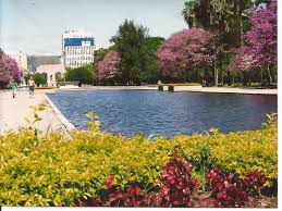 Resultado de imagem para porto alegre rs fotos