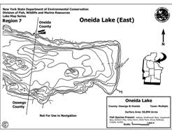 Oneida Lake Madison Onondaga Oswego And Oneida Nys