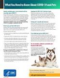 what-symptoms-do-dogs-get-with-covid
