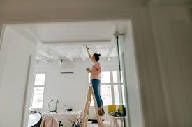 Painted Ceiling Ideas