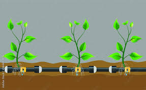 ground drip irrigation system