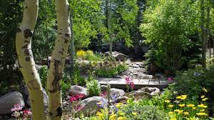 betty ford alpine gardens park review