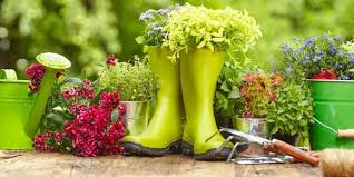 Top Gardening Tips For A Fruitful Season