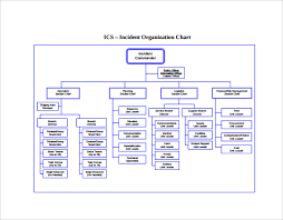 Cogent Samsung Corporate Structure Chart Blank Ics Flow