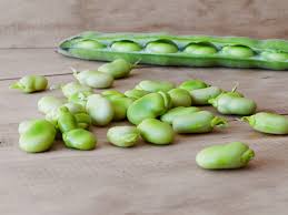 freezing lima beans keeping them