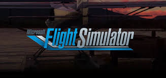 microsoft flight simulator players
