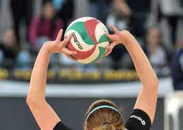 What is the dictionary definition of a volley? Comunidad Voley Photos Facebook