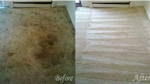 carpet cleaning bucks montgomery