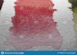 Red Gradient Watercolor Color Chart Stock Image Image Of
