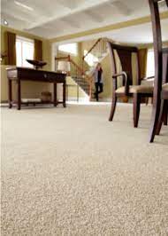 stain resistant carpets floor town
