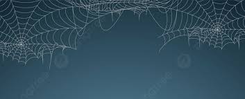 spider web banner background