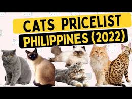 cats list 2022 philippines