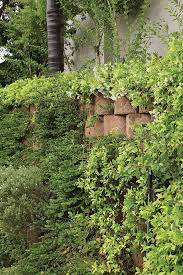 The Best Plants For Retaining Walls