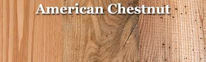 american chestnut lumber hearne hardwoods
