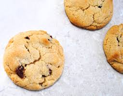 condensed milk cookies with cranberries