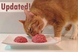 Feline Nutritions Easy Homemade Cat Food Recipe