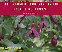 late summer gardening in the pacific
