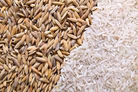 Husk synonyms, husk pronunciation, husk translation, english dictionary definition of husk. Rice Husk And Rice Stock Photo Picture And Royalty Free Image Image 21987346