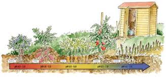 Your Gardens Soil Ph Matters Organic Gardening
