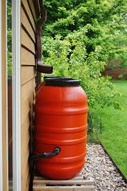 Do You Know What A Rain Barrel Can Do