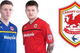 Uk football brand logo cardiff city fc. Fans And Designers Criticise Cardiff City S New Emblem Wales Online