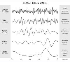 Brain Waves Alpha Stock Illustrations 53 Brain Waves Alpha