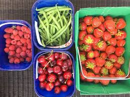 garsons pick your own farm surrey