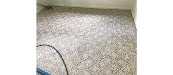 blue sky carpet cleaning florence ky