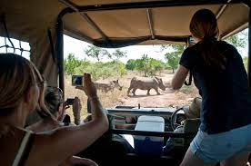 When is the Best Time to go on an African Safari | Africa Overland Tours