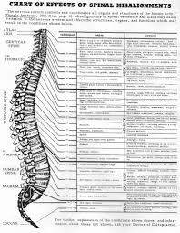 Effects Of Spinal Misalignments Chart Nerve Chart