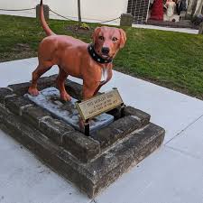 Dog Johnstown Pennsylvania