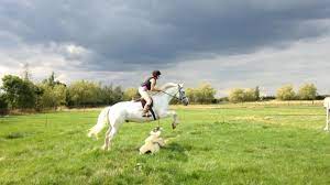 horse riding in rugby warwickshire