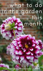 Planting Calendar What To Plant Month