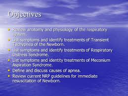 Is it something more serious? Respiratory System Of The Newborn Ppt Video Online Download