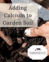How To Add Calcium To Soil Farminence