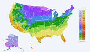 Find Your Plant Hardiness Growing Zone