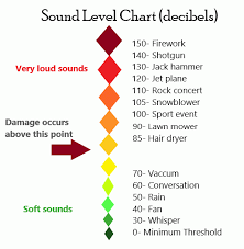 Common Noise Levels And Noise Induced Hearing Loss