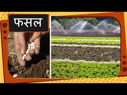 Science How Crops Grow Hindi