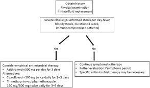 therapy of acute gastroenteritis role