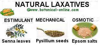 laxatives from cinal plants