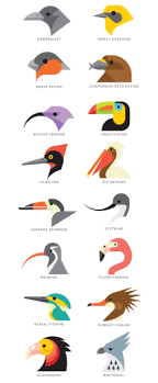 Beak Clipart Chart Bird 9 261 X 631 Free Clip Art Stock