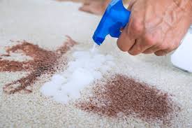 5 carpet cleaning tips by a
