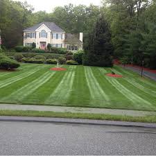 Vision Landscaping Inc