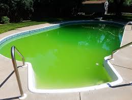 You just spent a ton of time leveling the ground for your pool and fill it with water. Leak Tools Blog